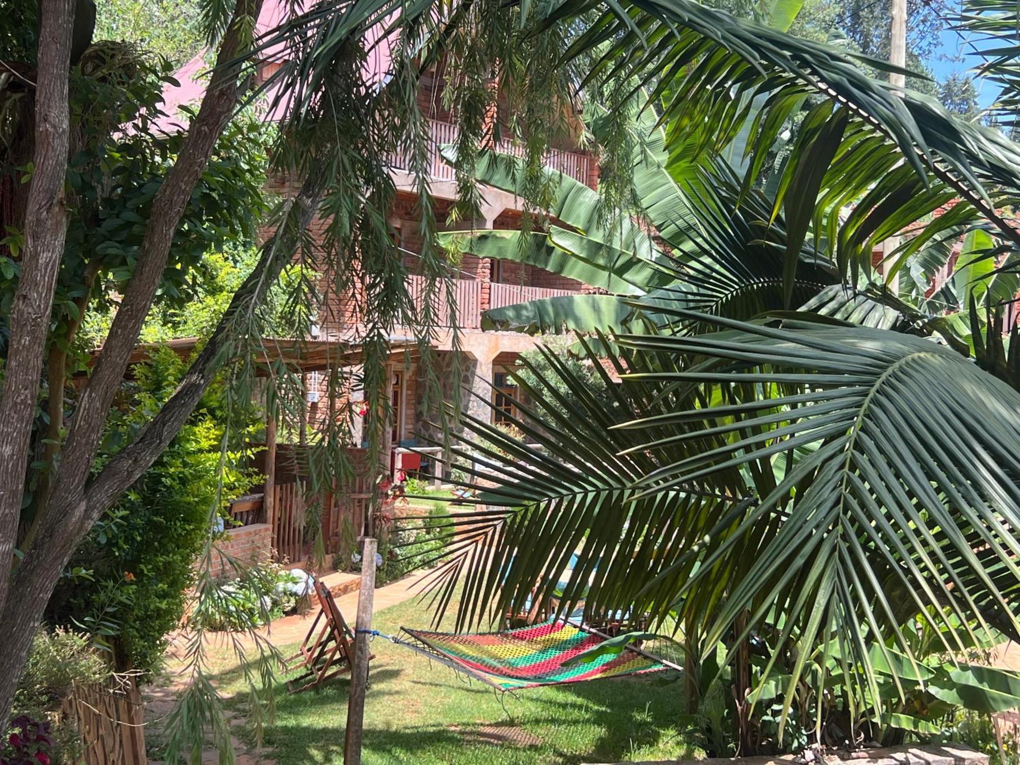Homestay David Crater Lushoto