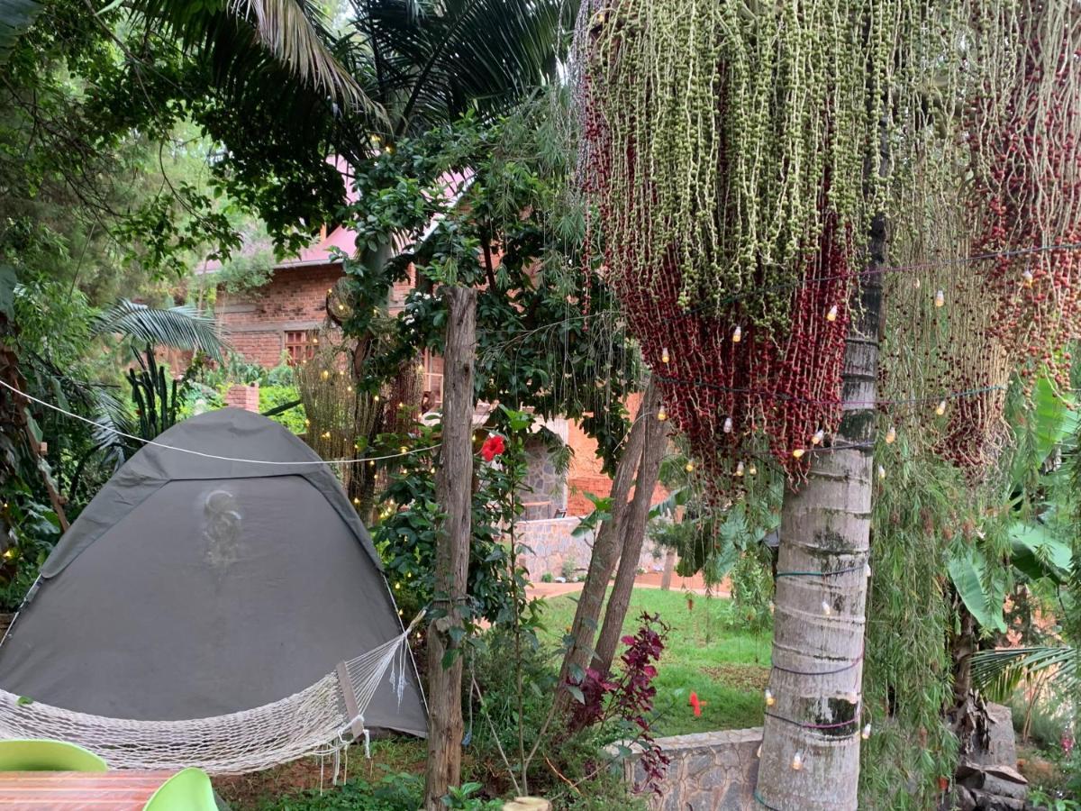 Homestay David Crater